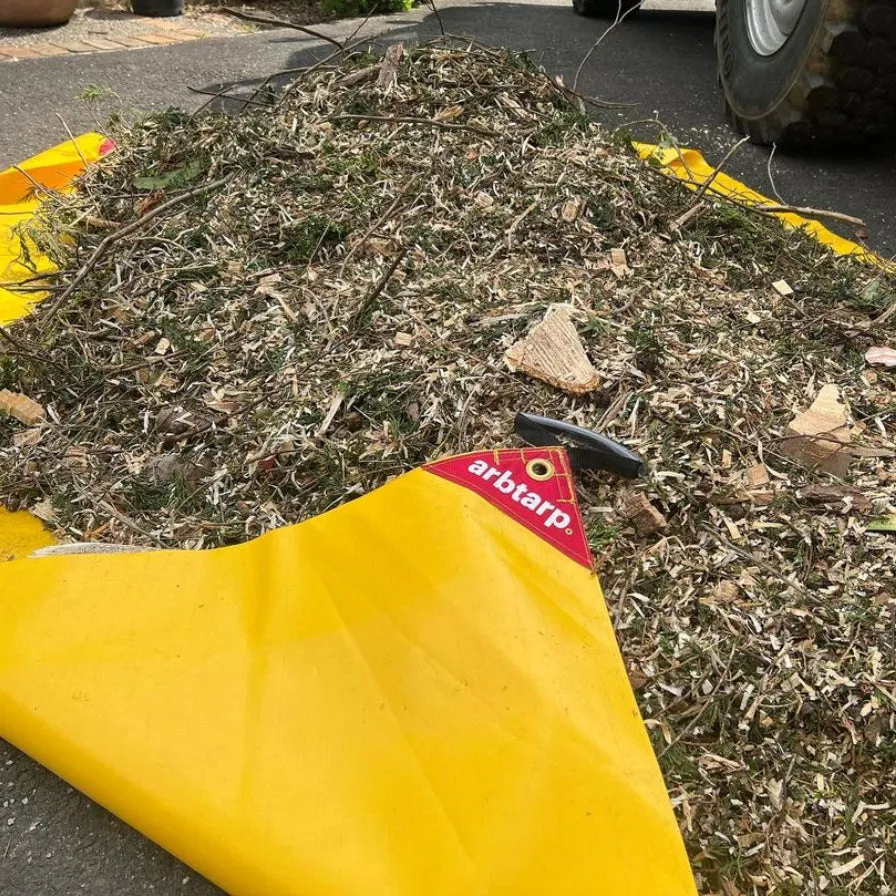 Arbtarp Clean Up Tarp