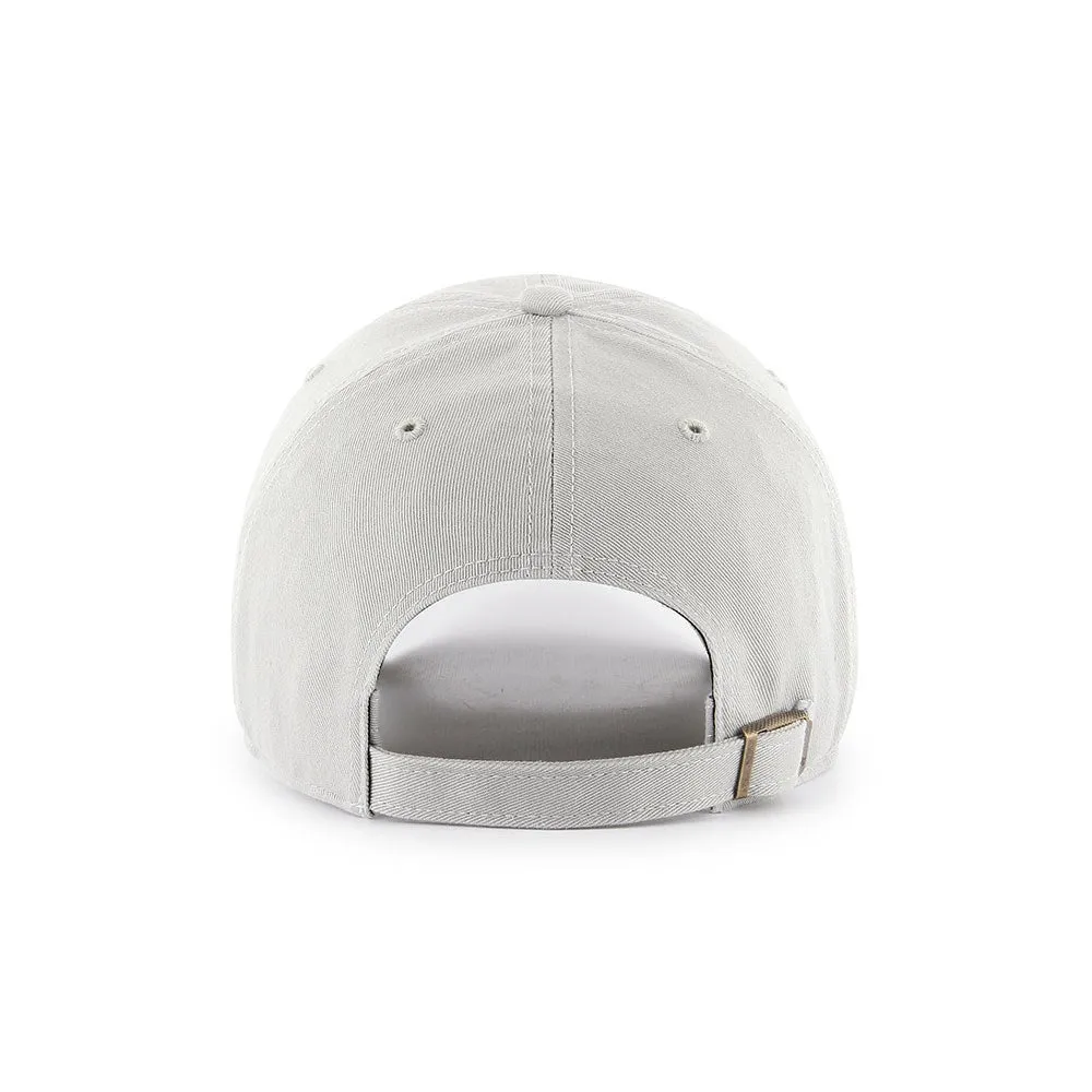 Border Collie Grey Base Runner 47 CLEAN UP