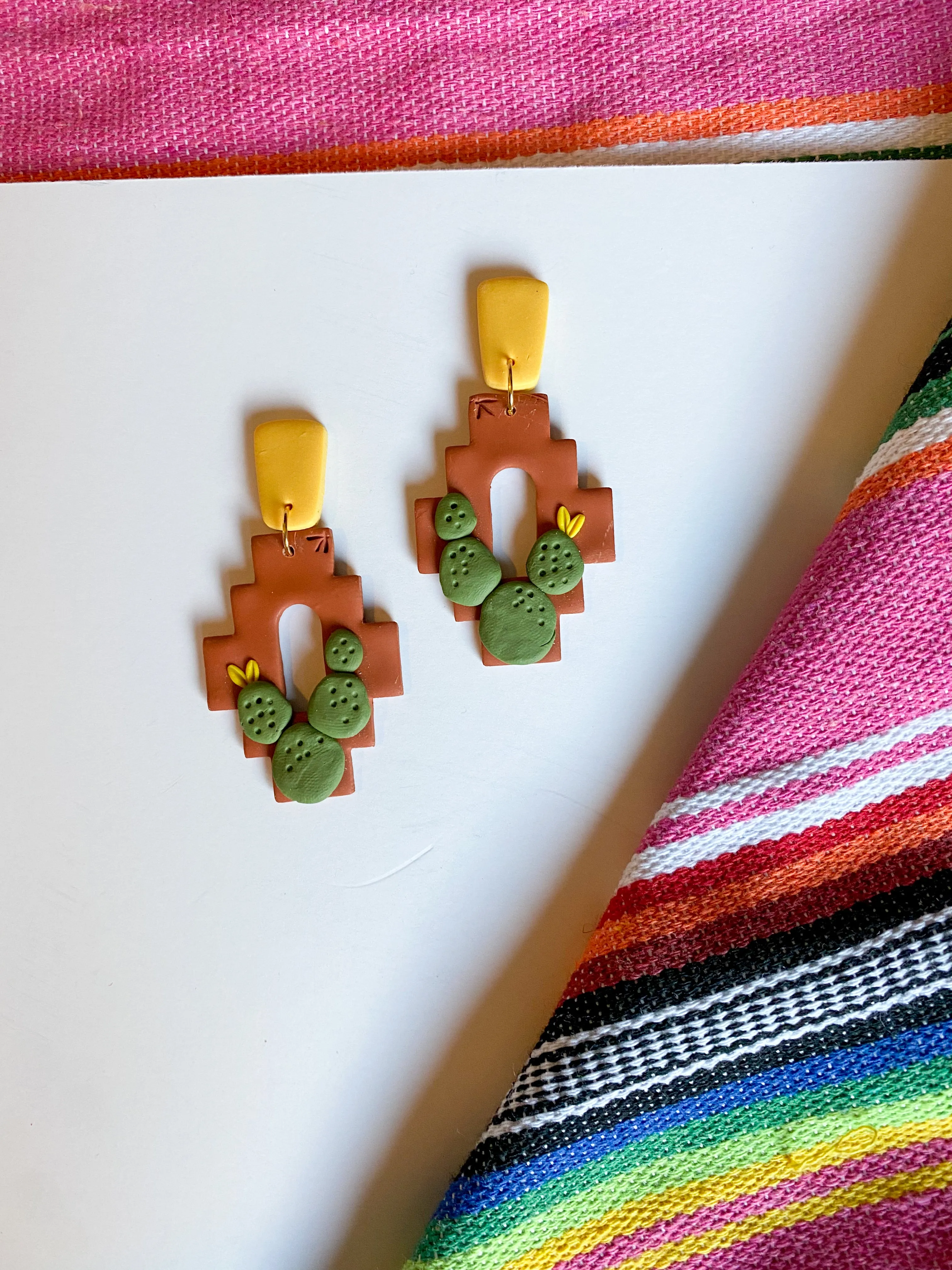 Cactus on Barro