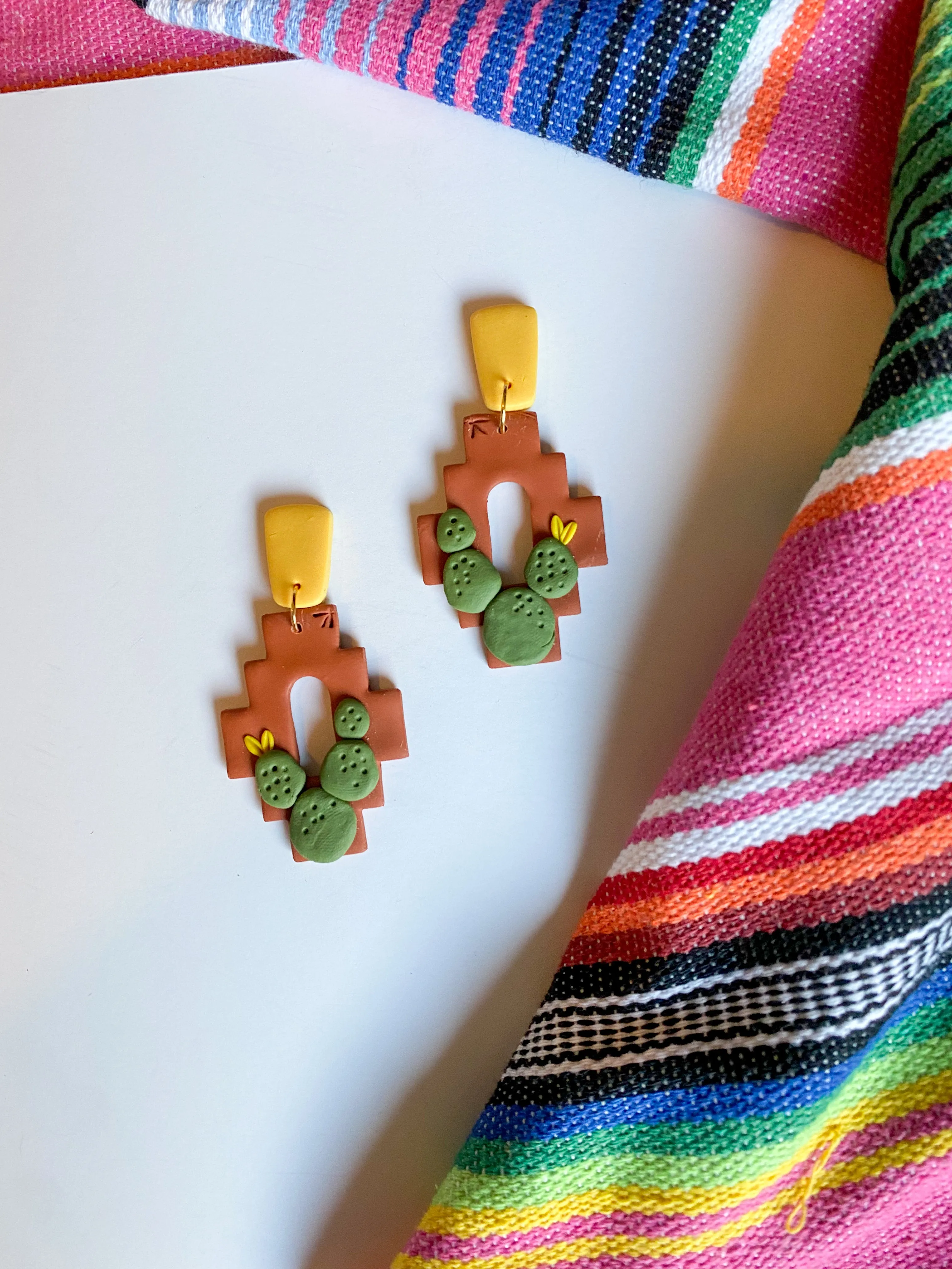 Cactus on Barro