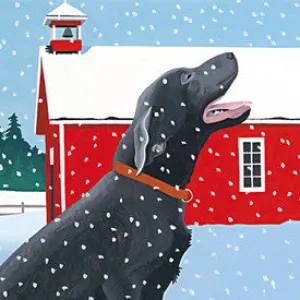 Catching Snowflakes