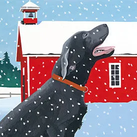 Catching Snowflakes