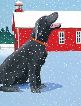 Catching Snowflakes