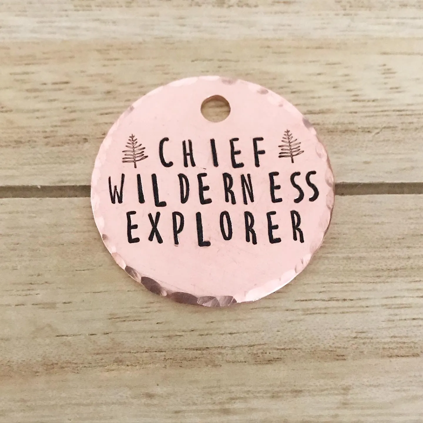 Chief Wilderness Explorer