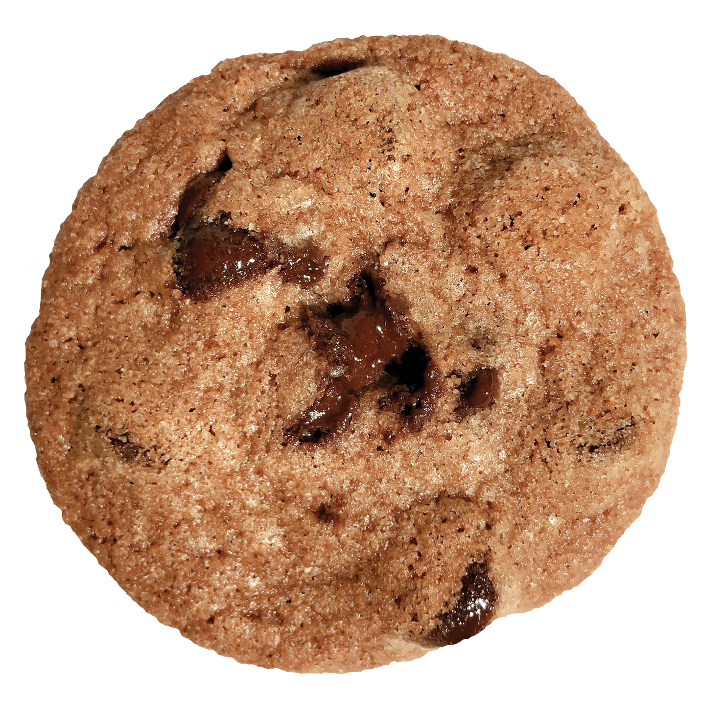 Chocolate Chip Rectangle Box
