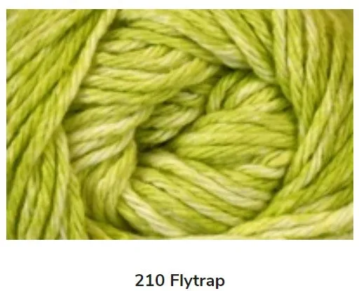 Clean Cotton - Multi