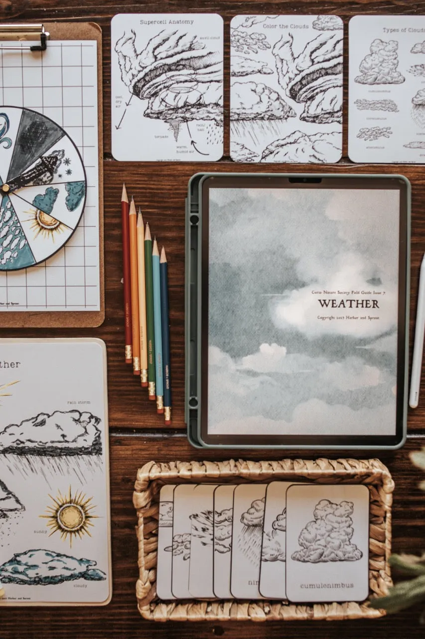 Curio Nature Society Field Guide Issue 7- WEATHER
