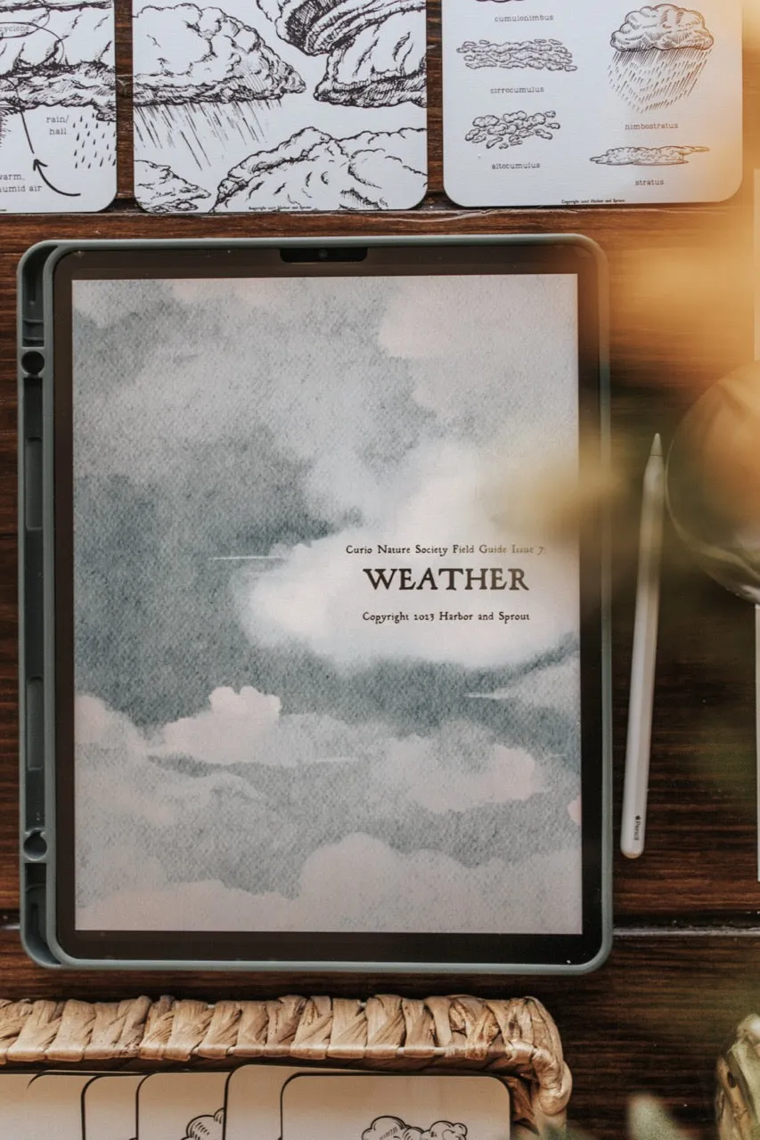 Curio Nature Society Field Guide Issue 7- WEATHER