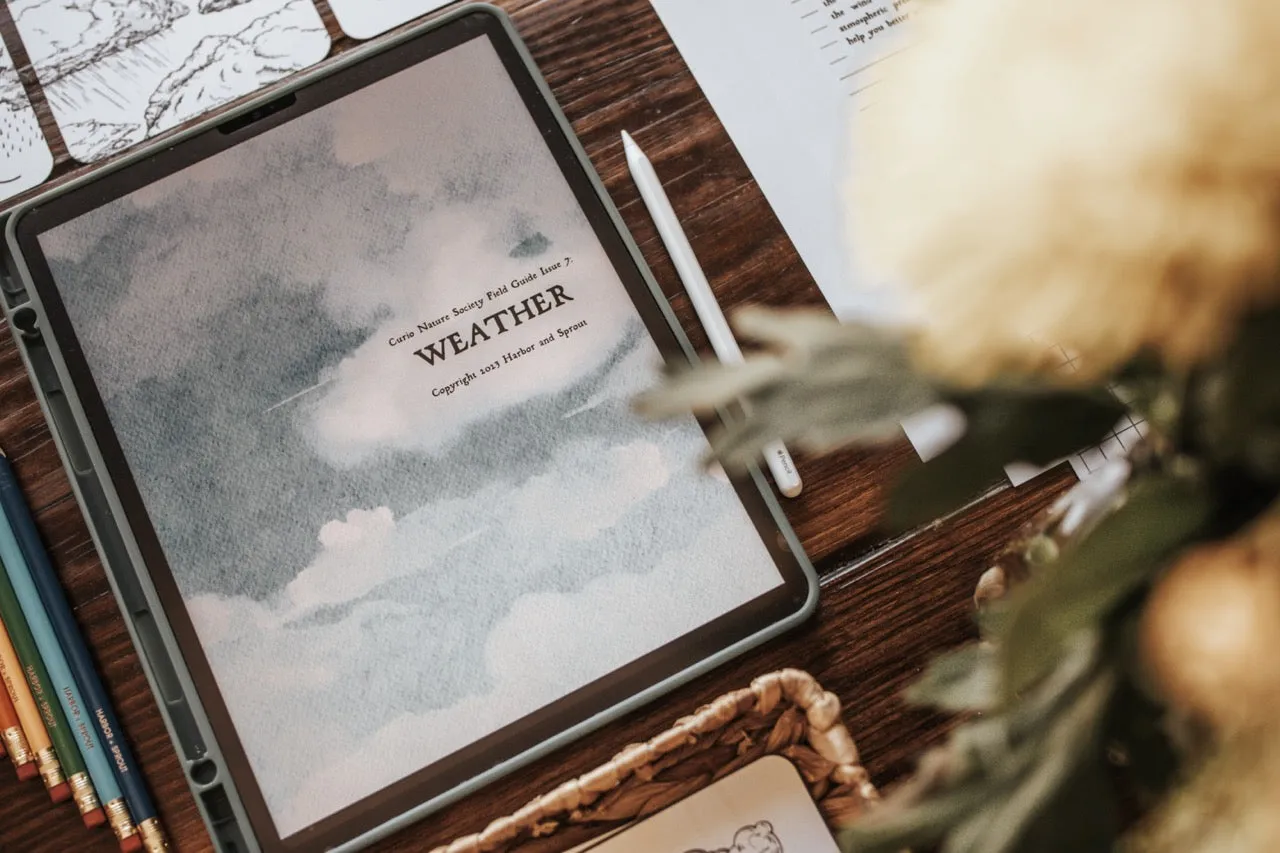 Curio Nature Society Field Guide Issue 7- WEATHER