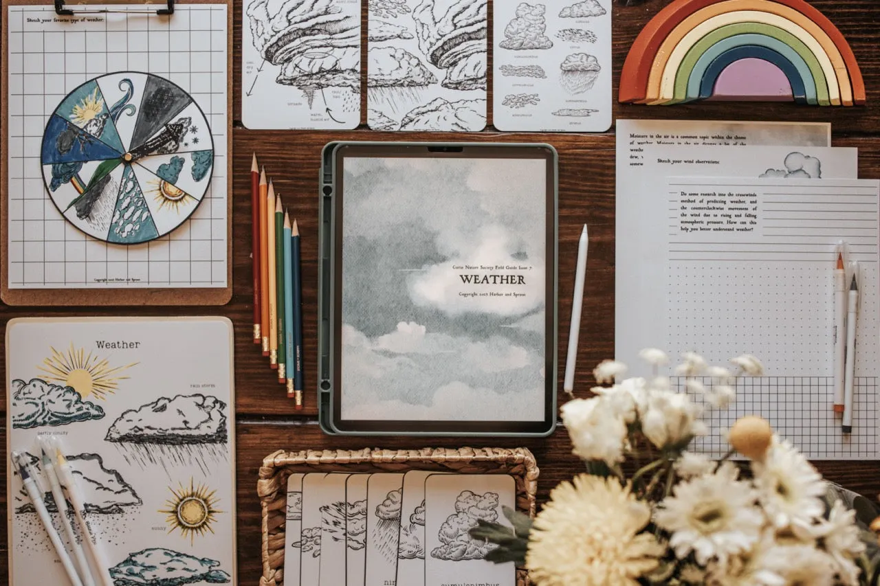 Curio Nature Society Field Guide Issue 7- WEATHER