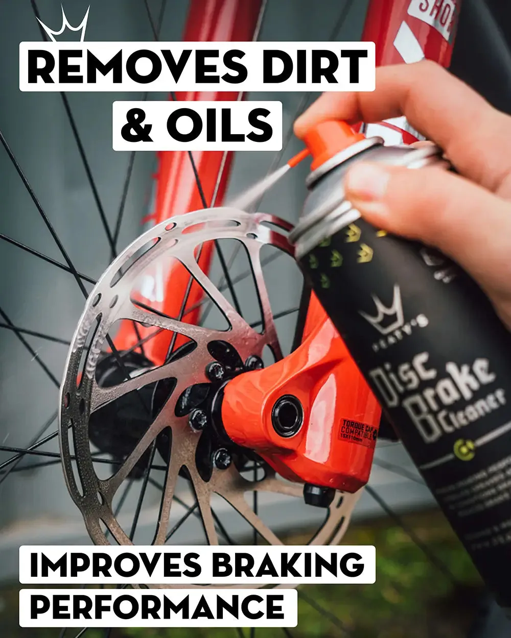 Disc Brake Cleaner