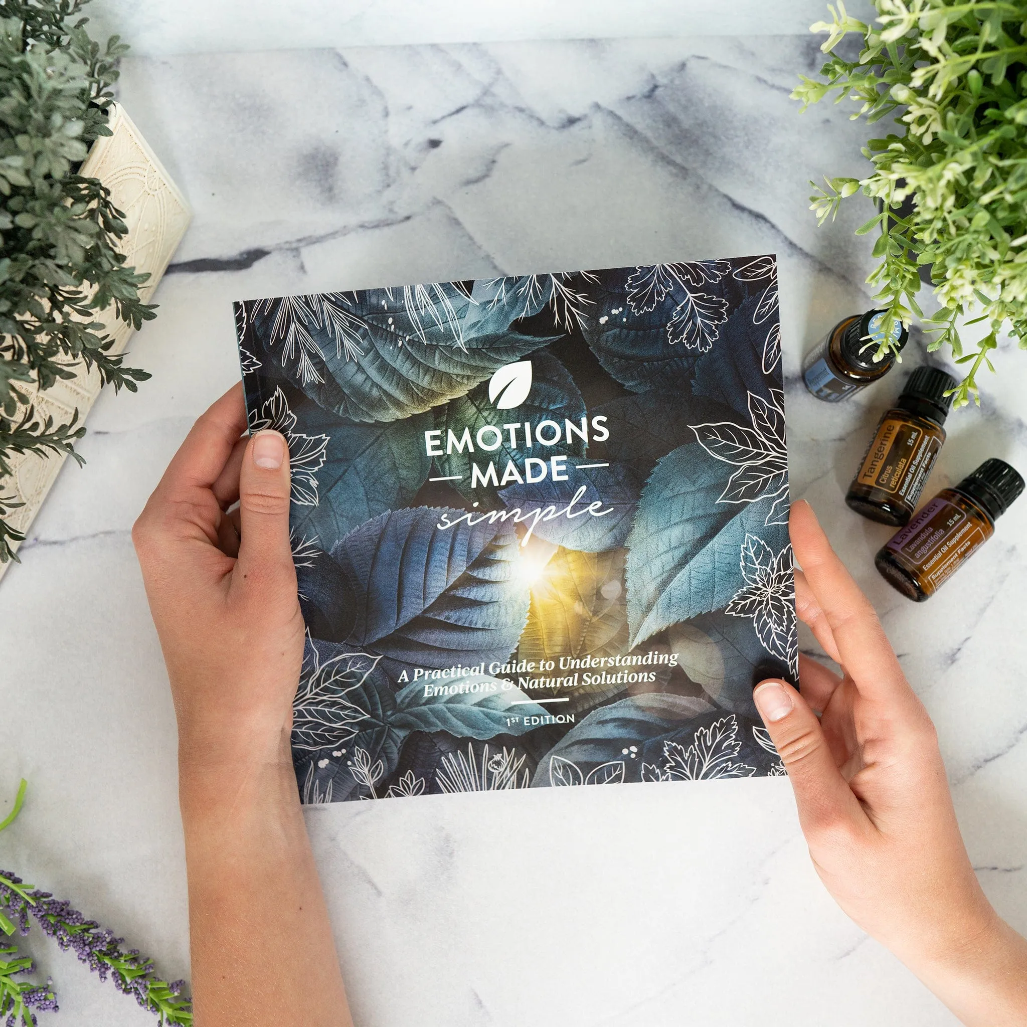 Emotions Made Simple Book 1st Edition