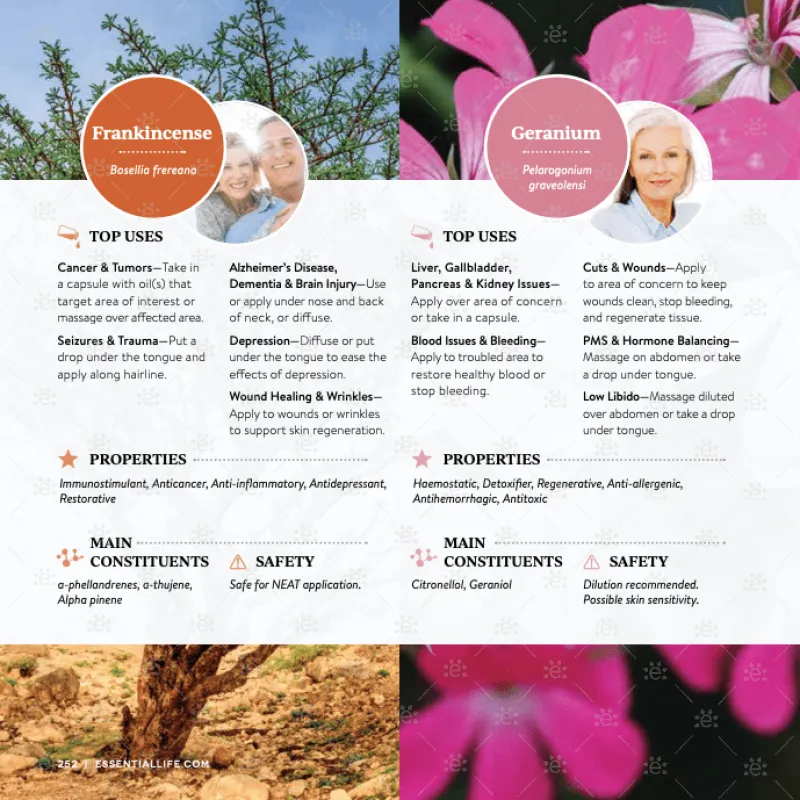 Essential Oils Made Simple Book