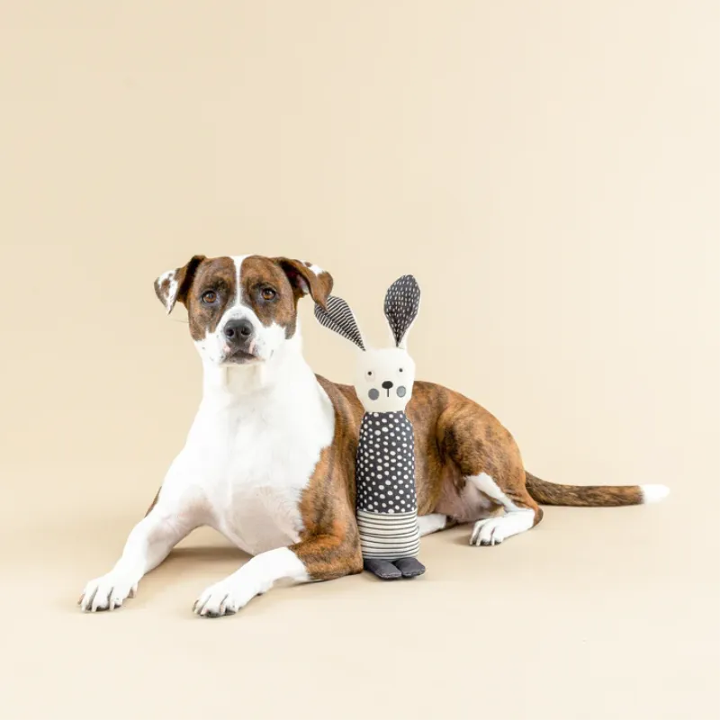 Fringe Studio -All Ears - Canvas - Dog Toy