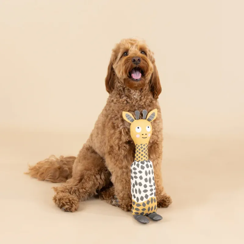 Fringe Studio -High There - Canvas - Dog Toy