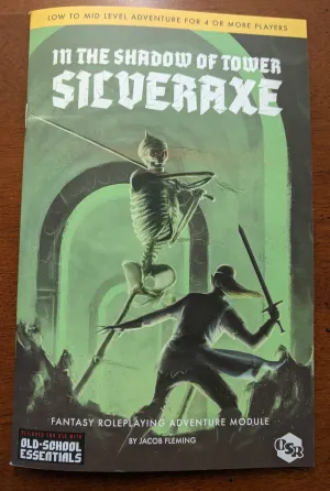 In the Shadow of Tower Silveraxe   PDF