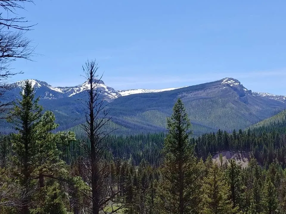 Legacy Outfitters - General Elk/Deer - Bartlett Camp