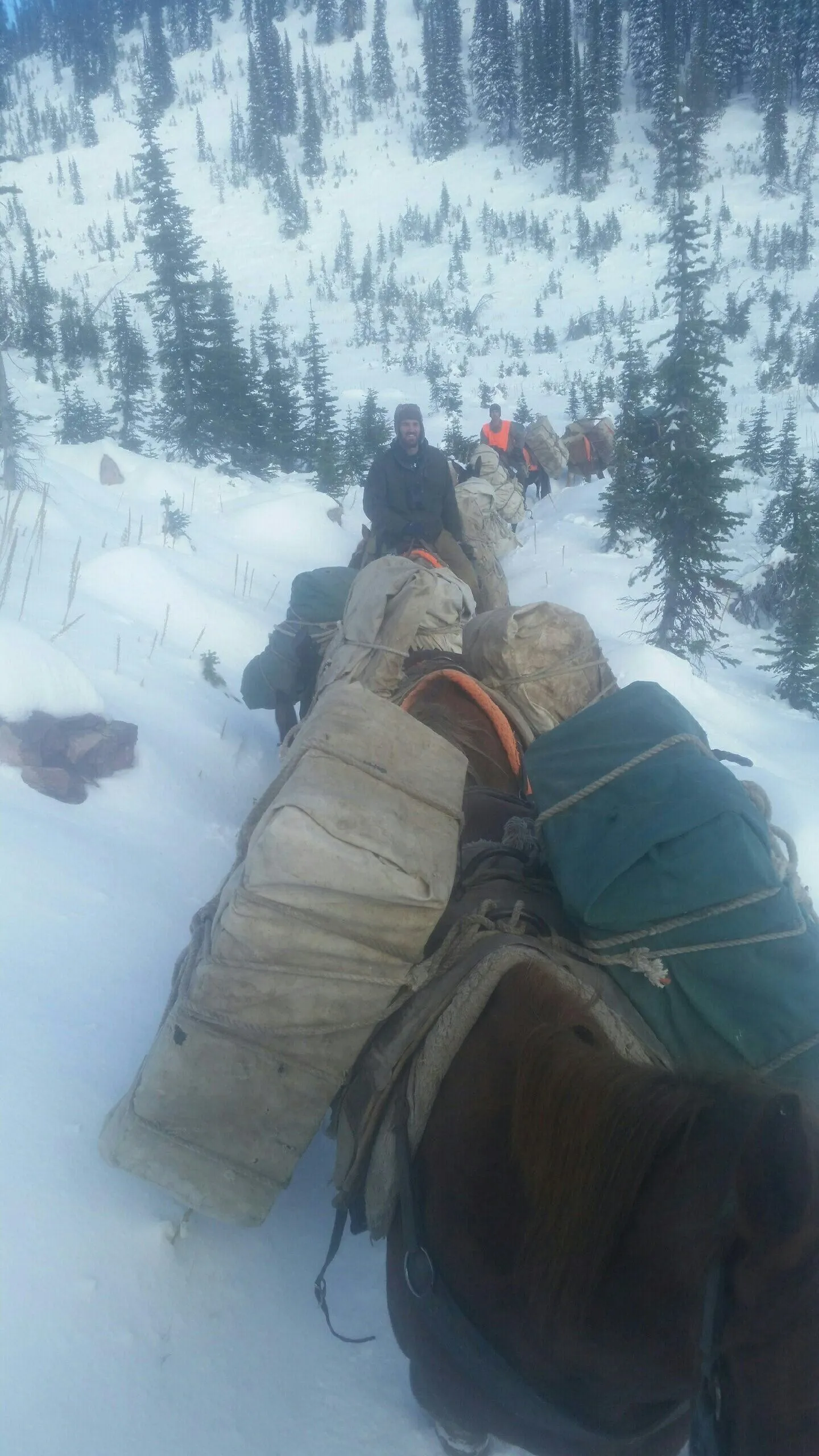 Legacy Outfitters - General Elk/Deer - Bartlett Camp