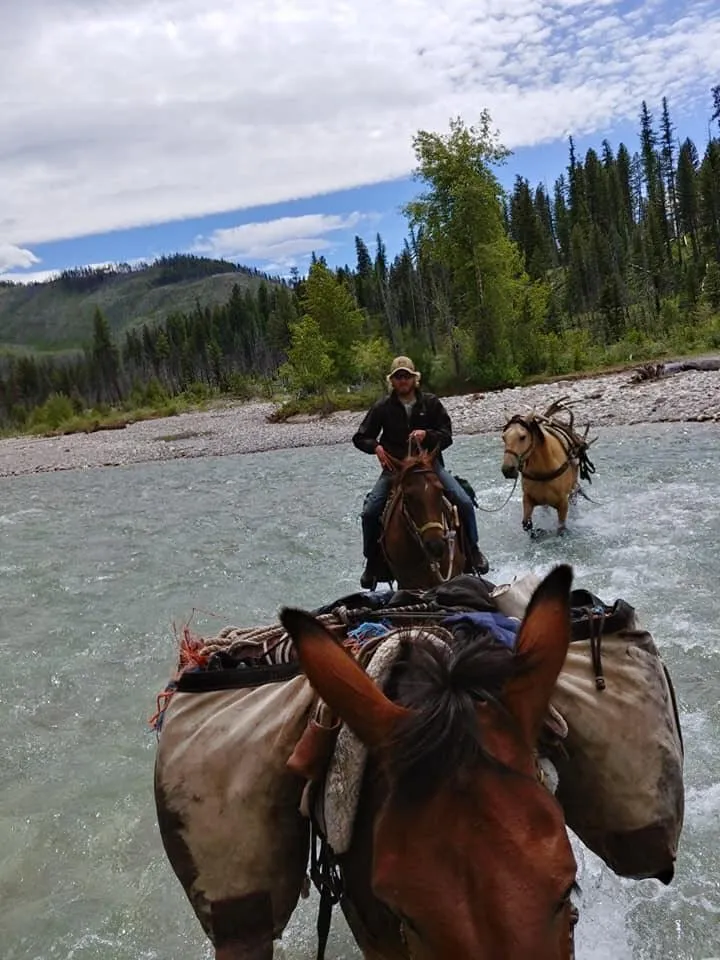 Legacy Outfitters - General Elk/Deer - Bartlett Camp