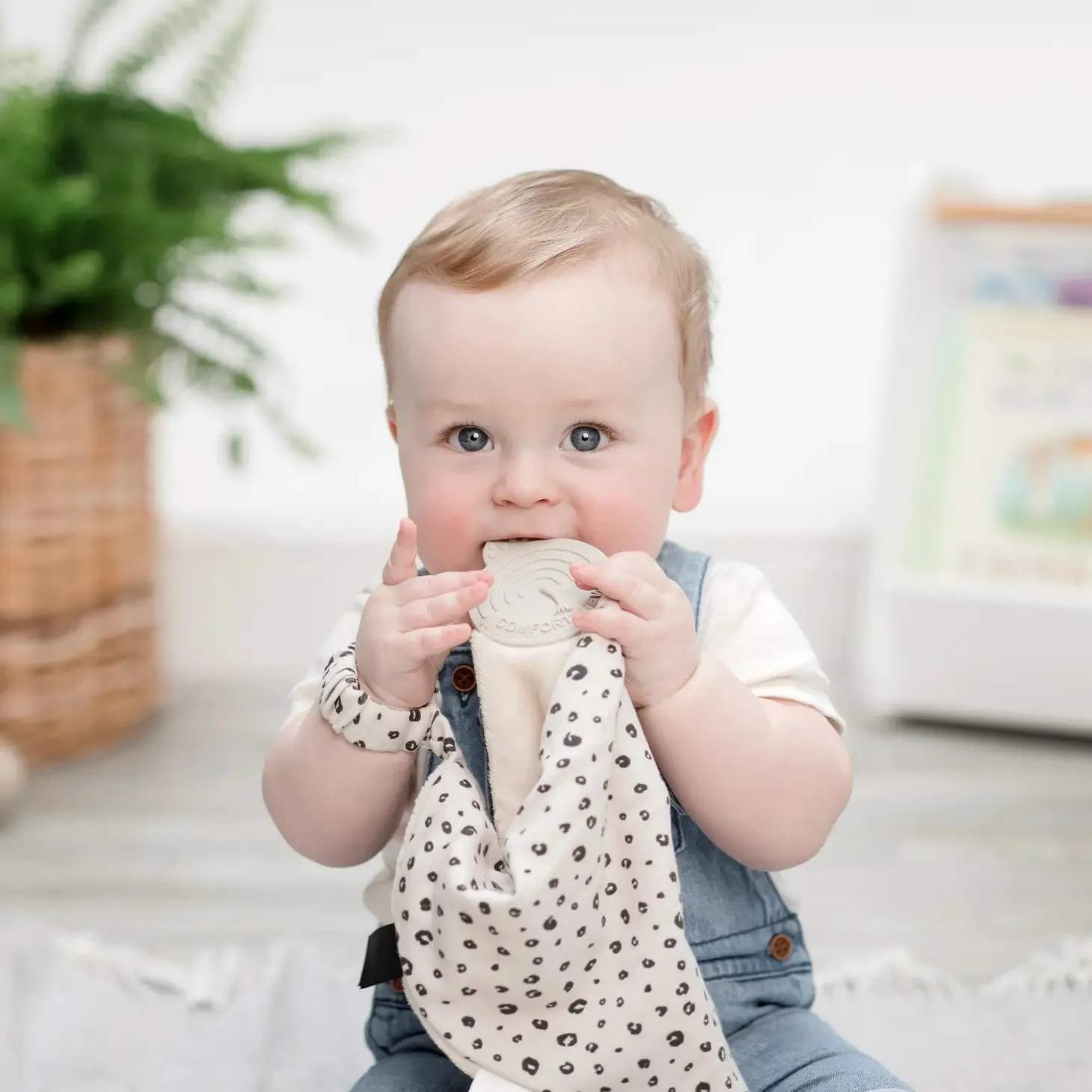 Leopard spot comfort chew