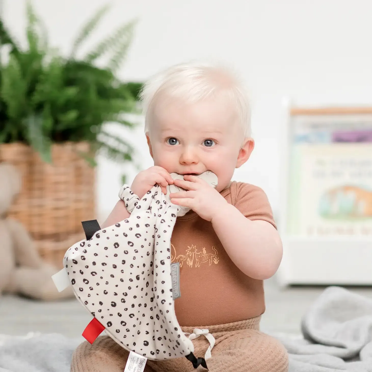 Leopard spot comfort chew