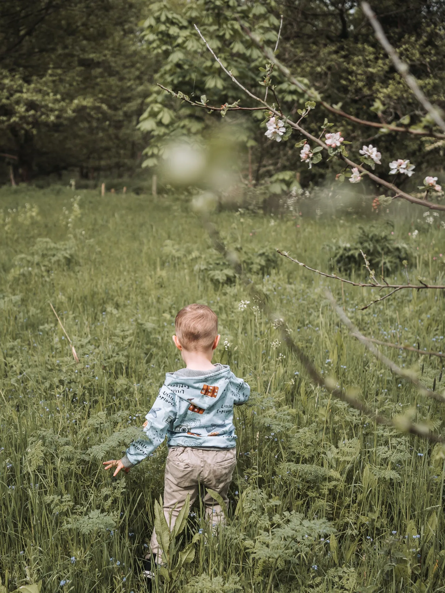 Little Explorer Hoodie - Blue