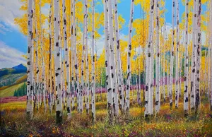 Lizard Head Wilderness ( triptych)