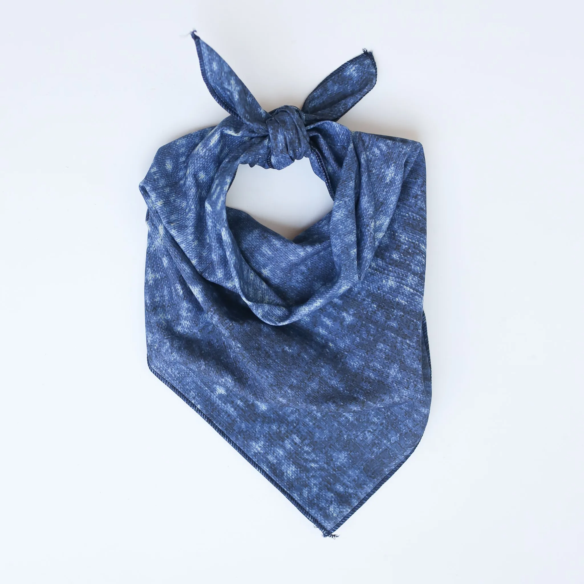 Navy Lyon Bandana