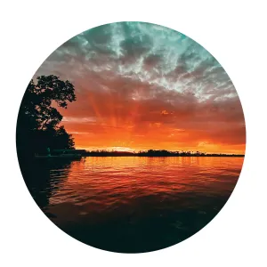 Northland Wood Coaster Set, 3.75x3.75, set of 4