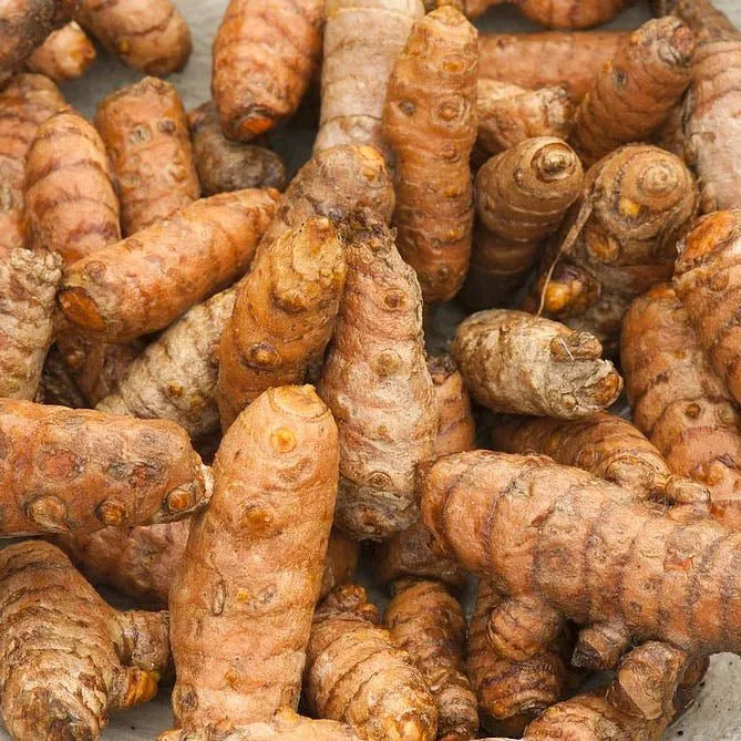 Organic Golden Mylk   Shrooms by Simple Energy