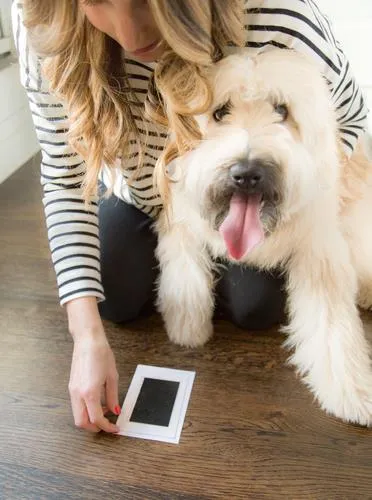 Pearhead Pet Paw Print Clean Touch Ink Pad