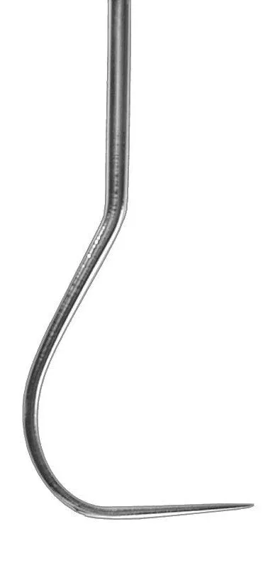Probe explorer PUNC15-23 BG6