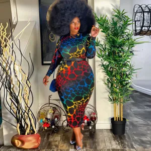Rainbow Safari Dress