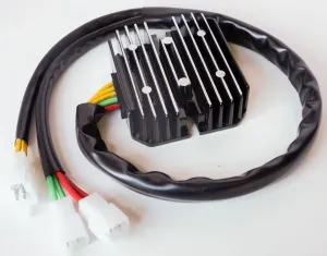 RICKS 14-118 Lithium Battery Regulator/Rectifier