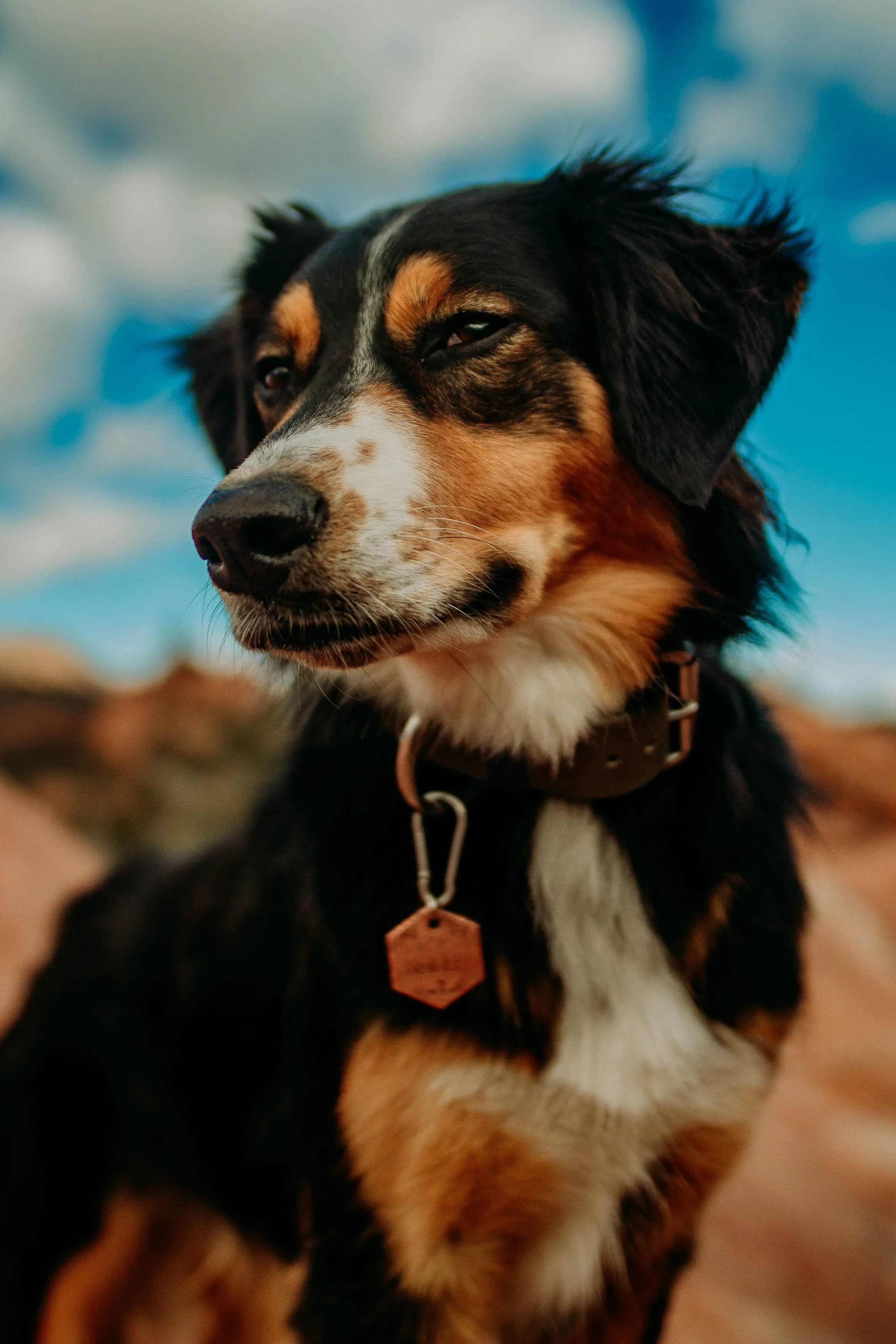 Scout- Simple Style