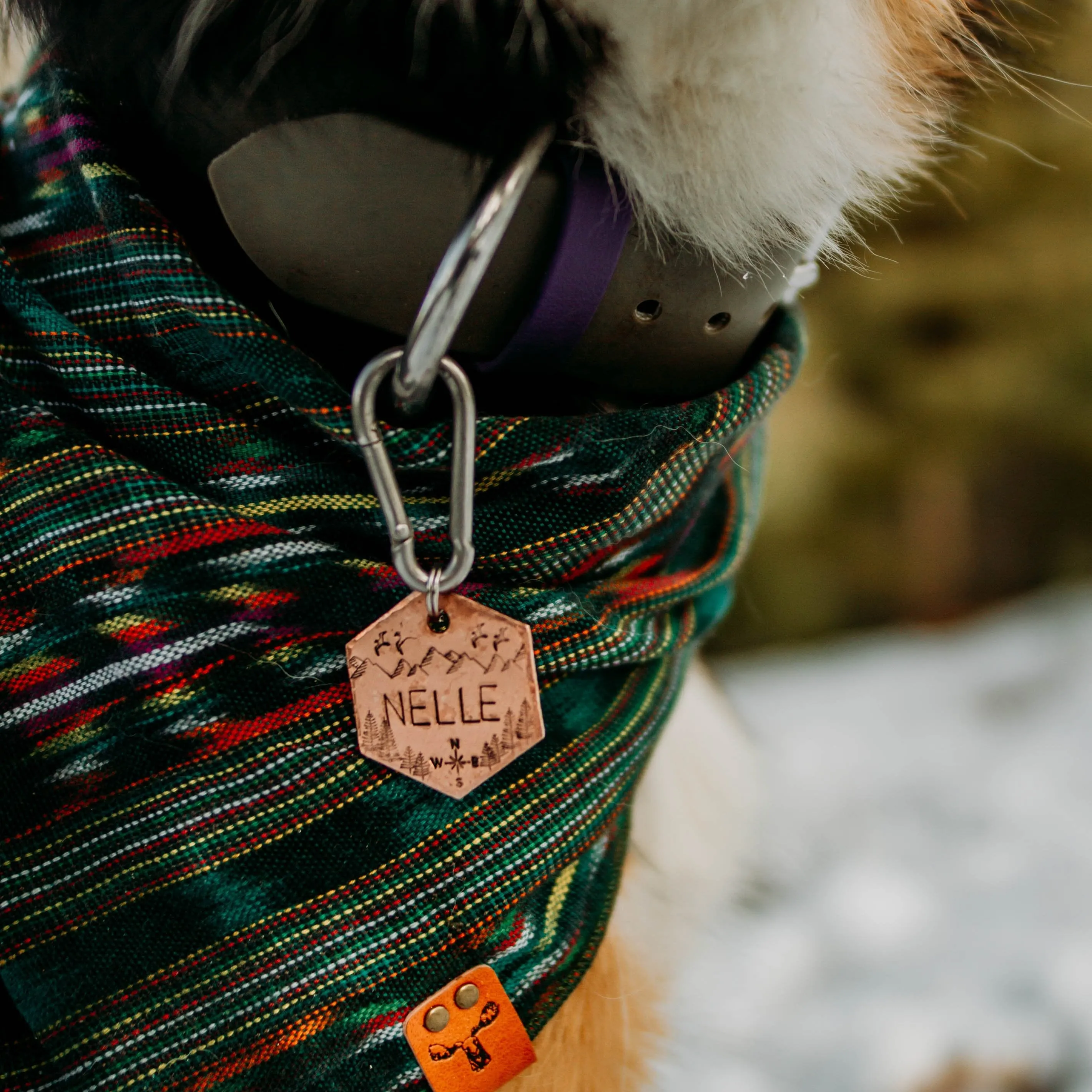 Scout- Simple Style