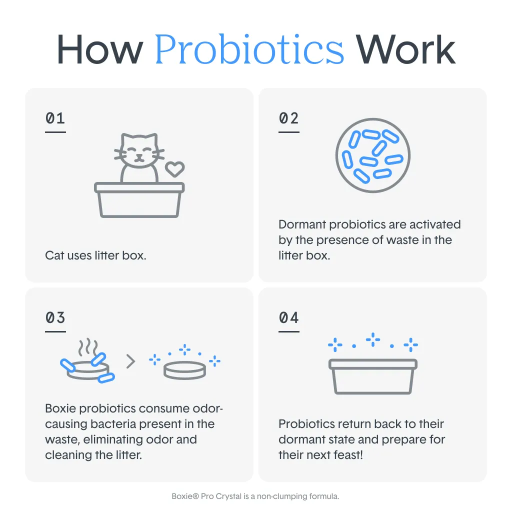 Self-Cleaning Probiotic Crystal Non-Clumping Cat Litter