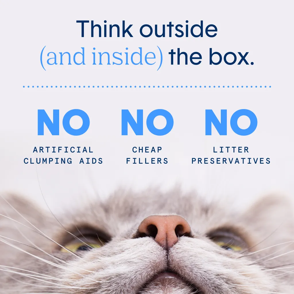 Self-Cleaning Probiotic Crystal Non-Clumping Cat Litter