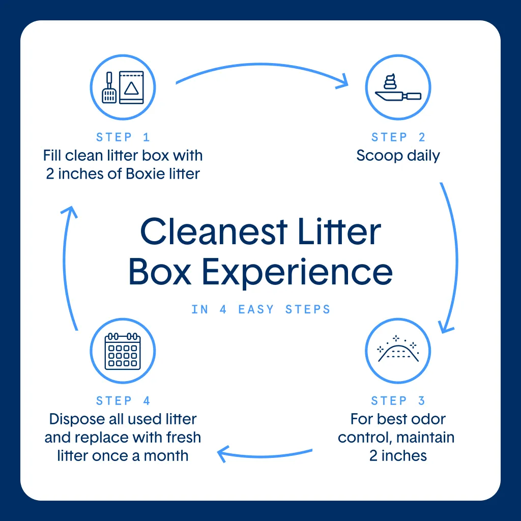 Self-Cleaning Probiotic Crystal Non-Clumping Cat Litter