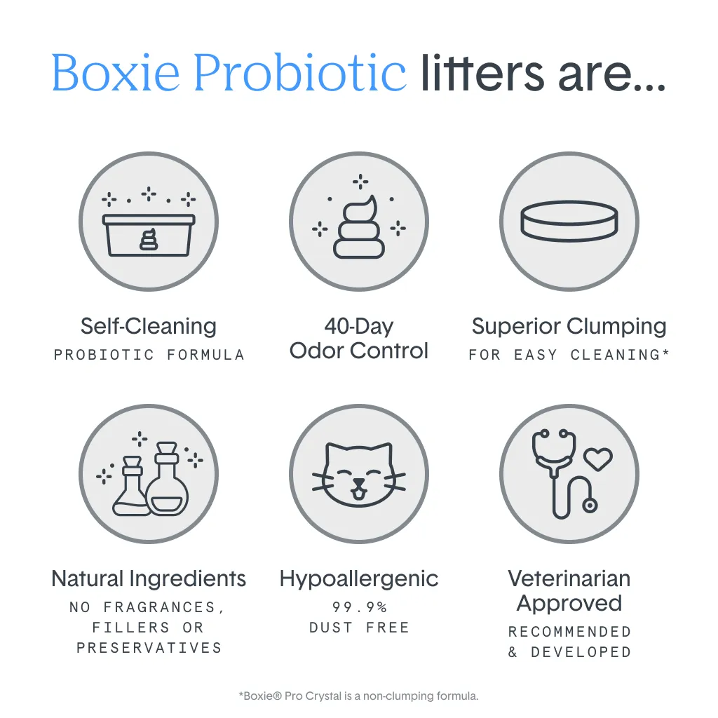 Self-Cleaning Probiotic Crystal Non-Clumping Cat Litter