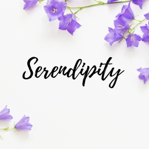 Serendipity