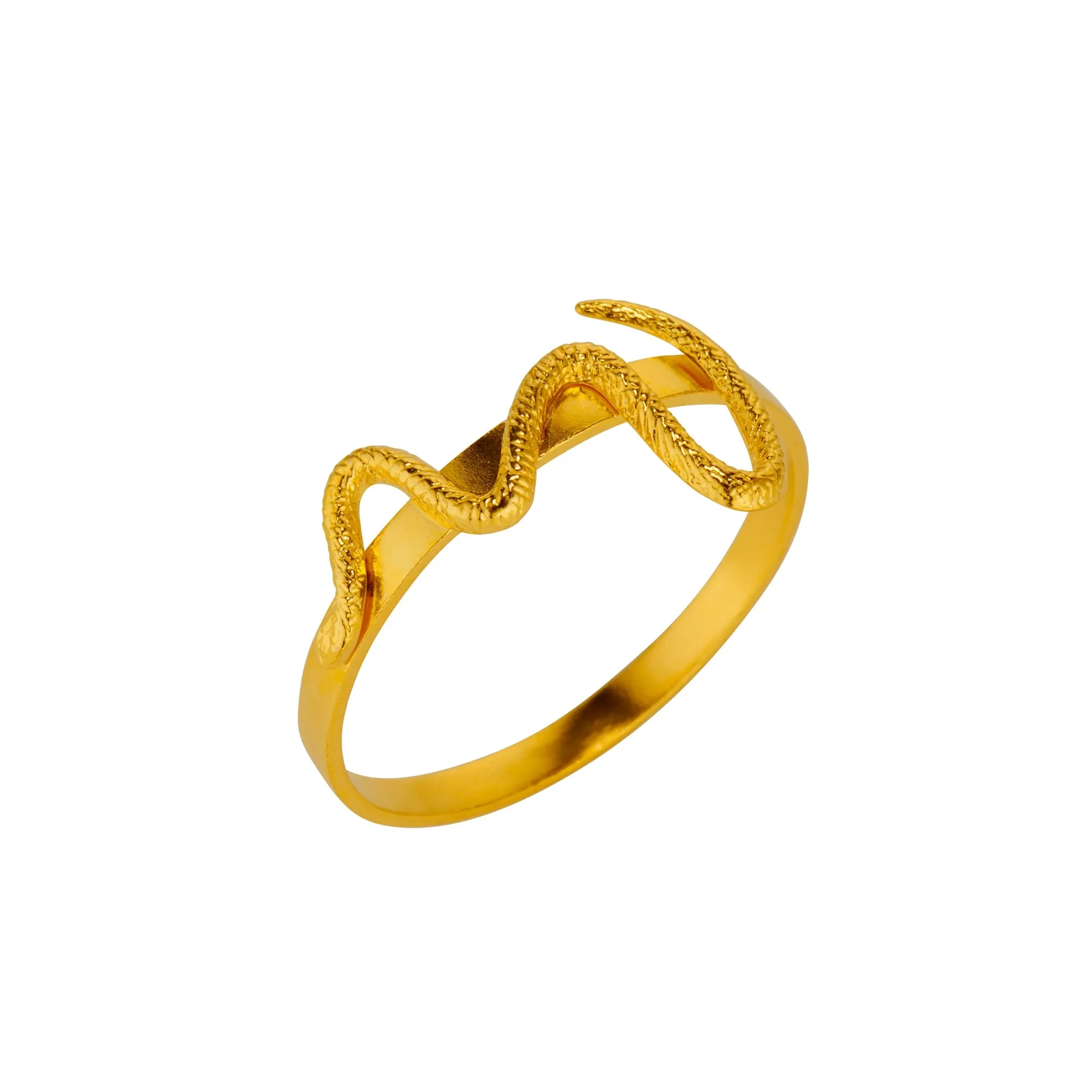 Snake Napkin Ring