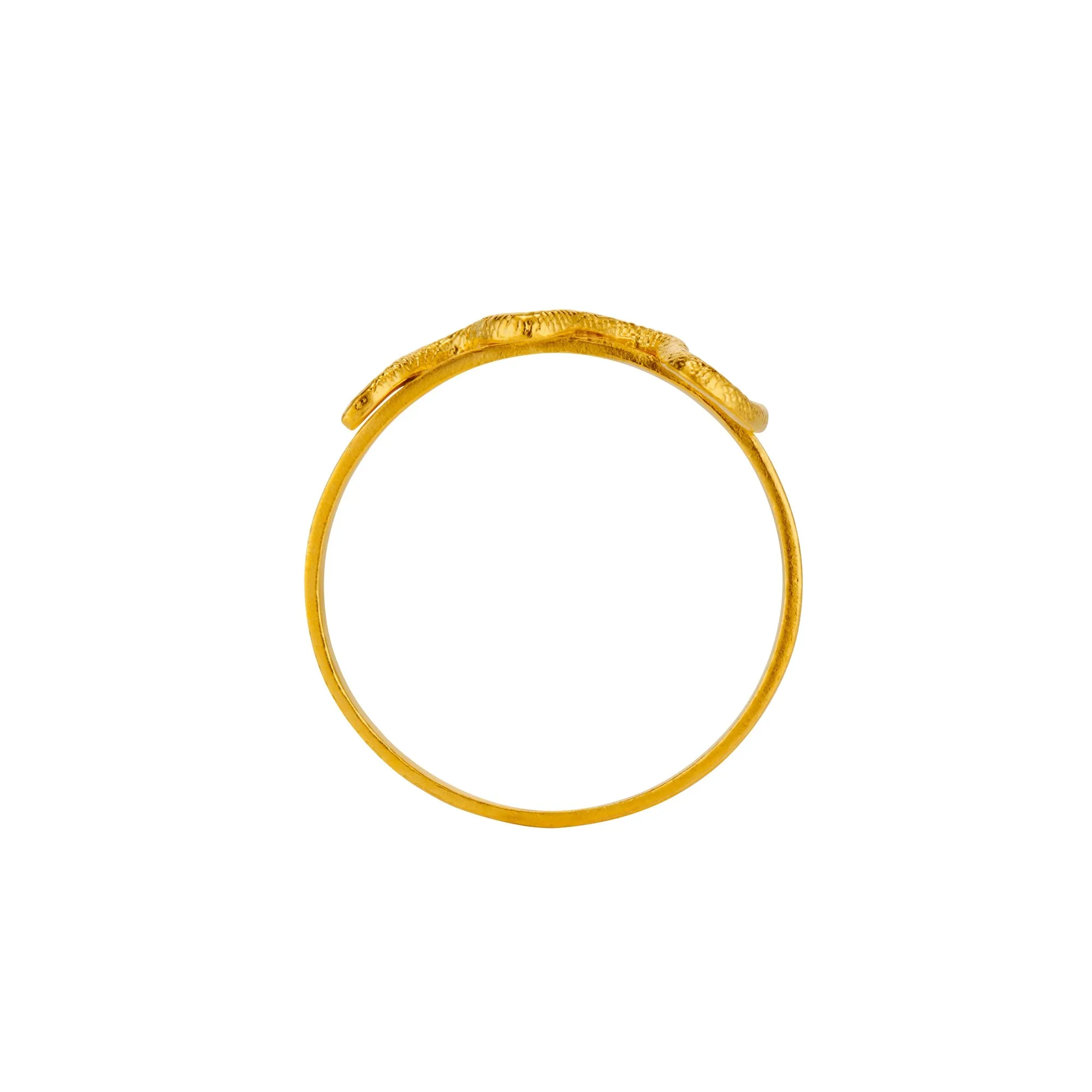 Snake Napkin Ring