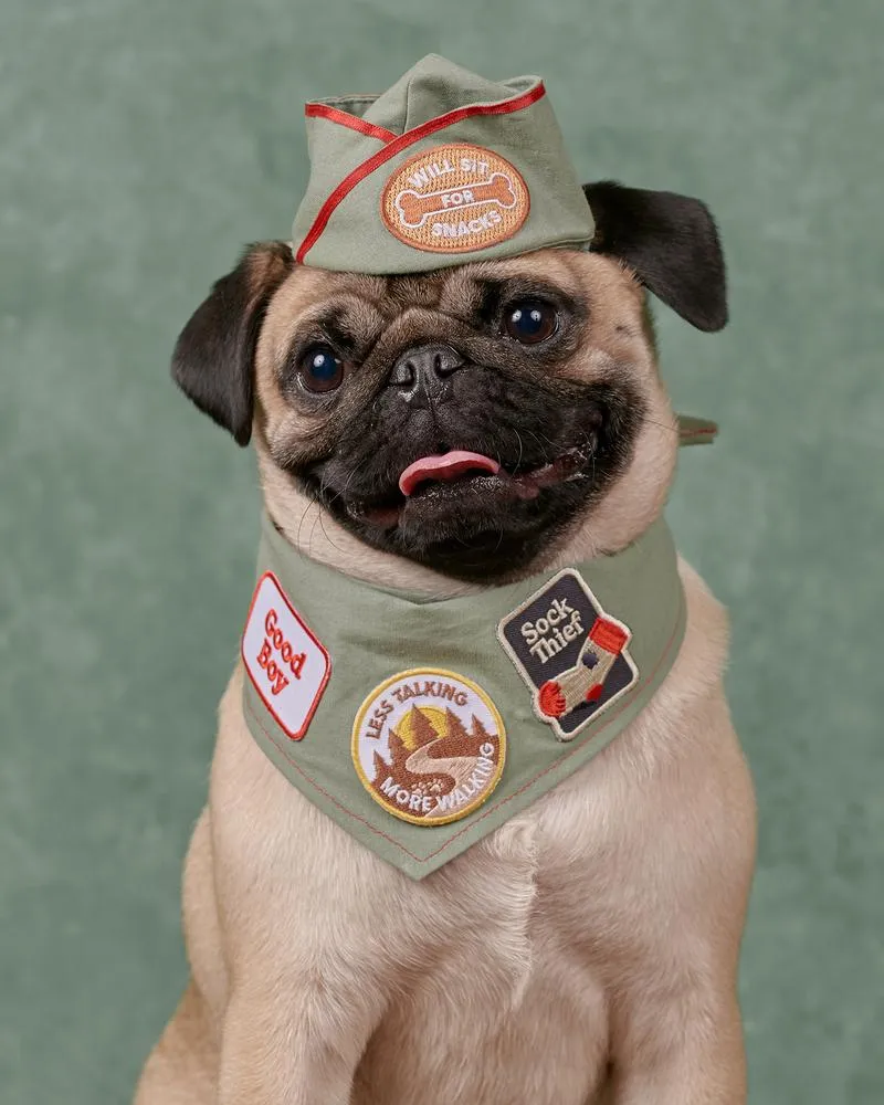 Sock Thief - Merit Badge