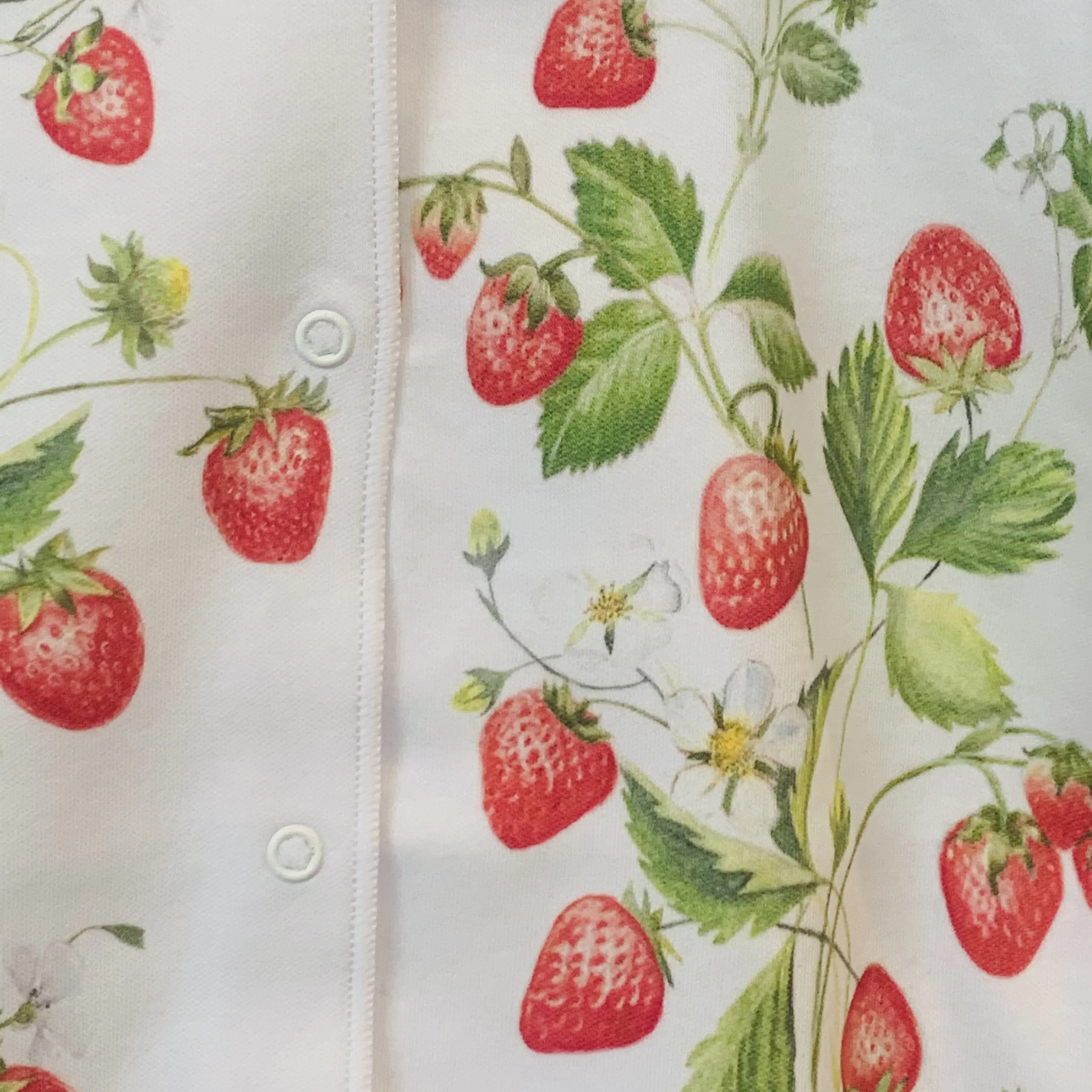 SOFIJA - Exclusive Strawberry Field Babygrow