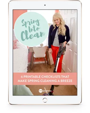 Spring Into Clean eBook