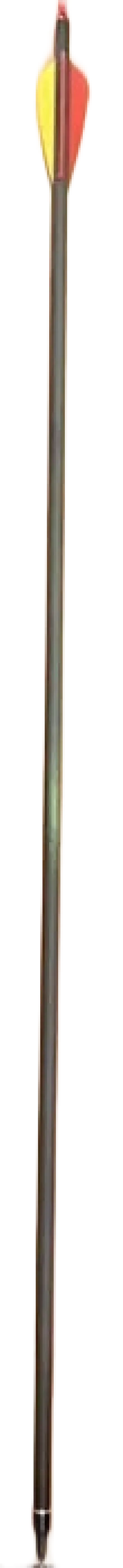 Stealth - Carbon Arrows 30" {Price is per Arrow}