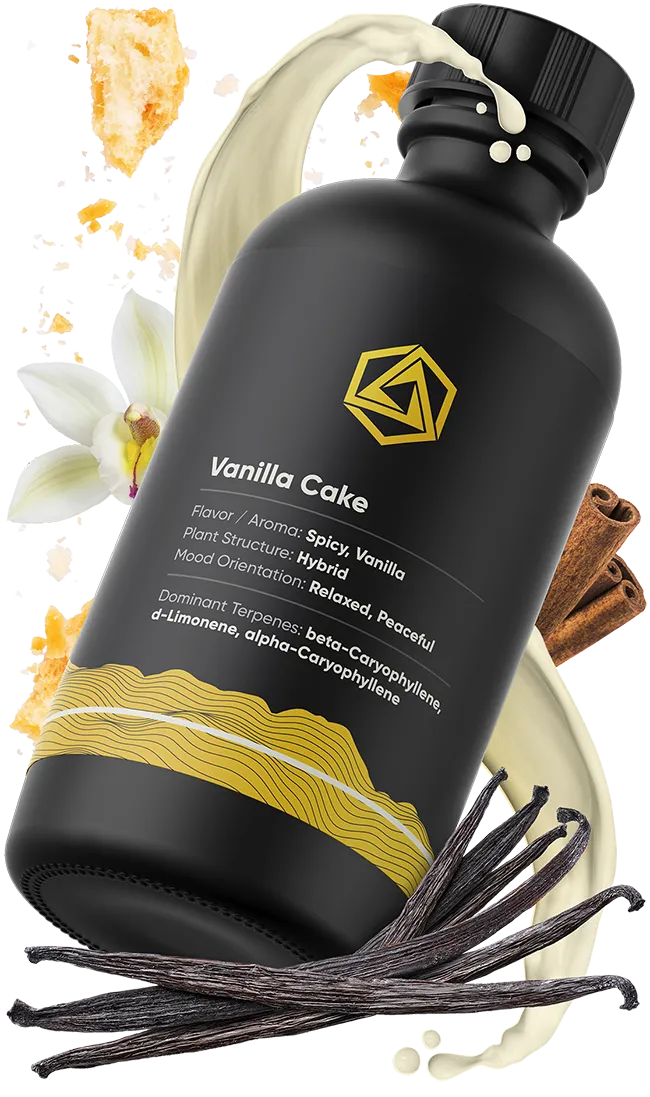 Vanilla Cake