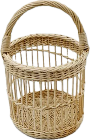 Vida Handled Basket
