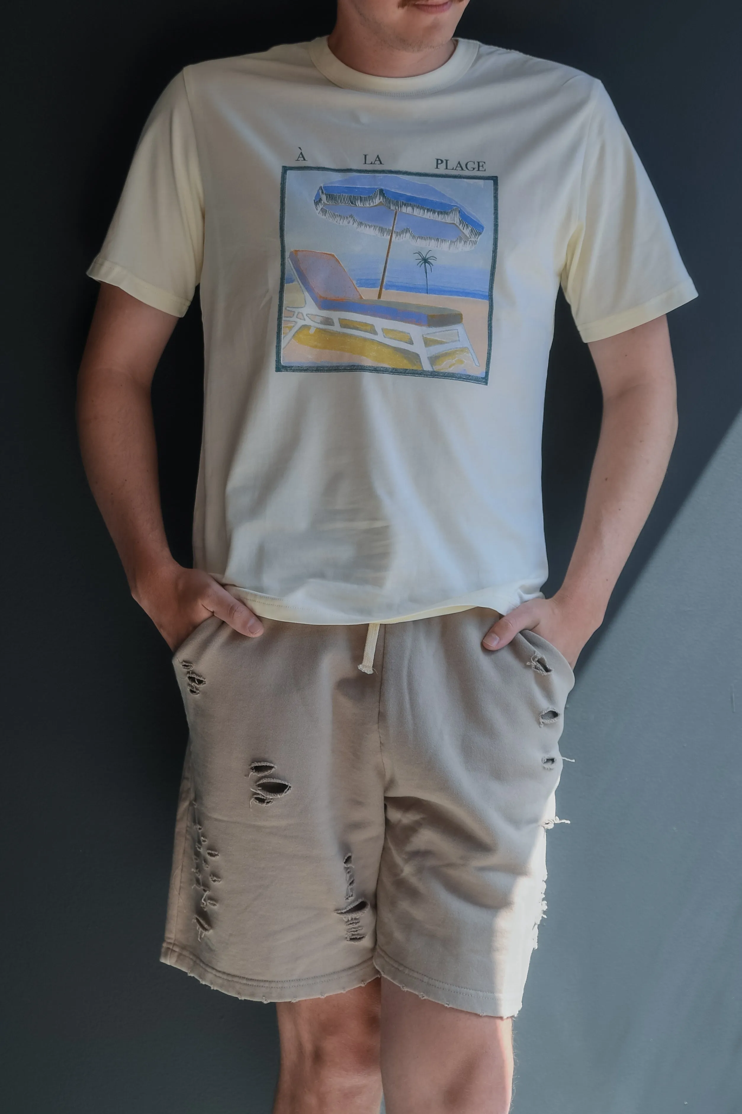 Vizcaya Distressed Shorts